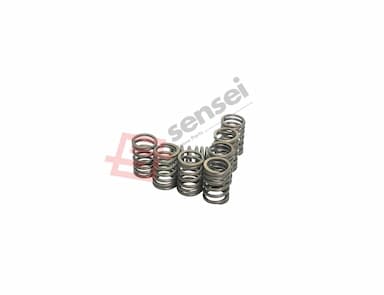 129907-11120-SS-4
