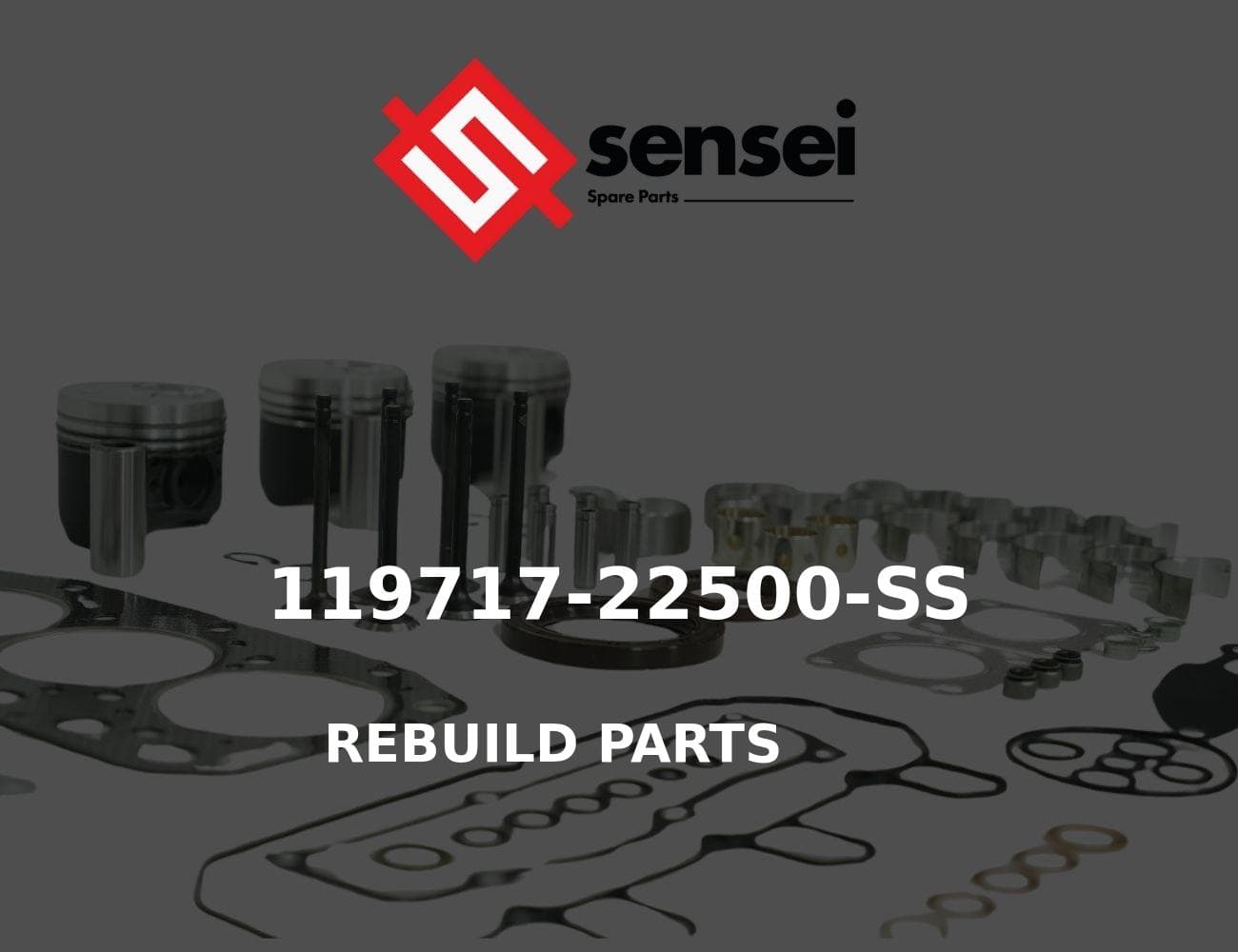 119717-22500-SS