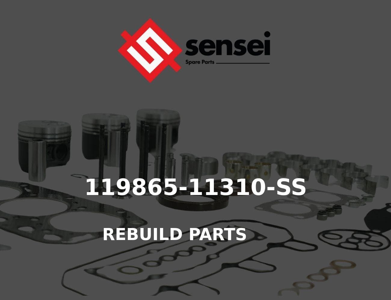 119865-11310-SS