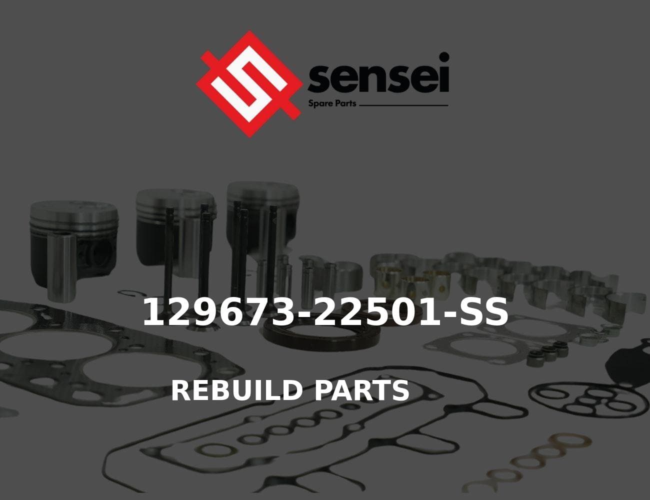 129673-22501-SS