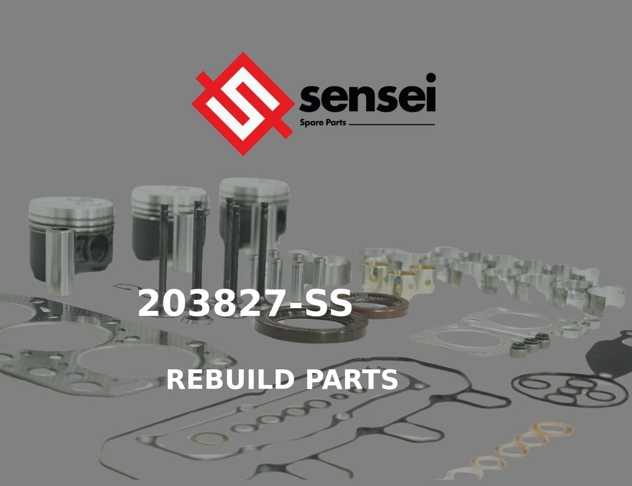24321-000750-SS