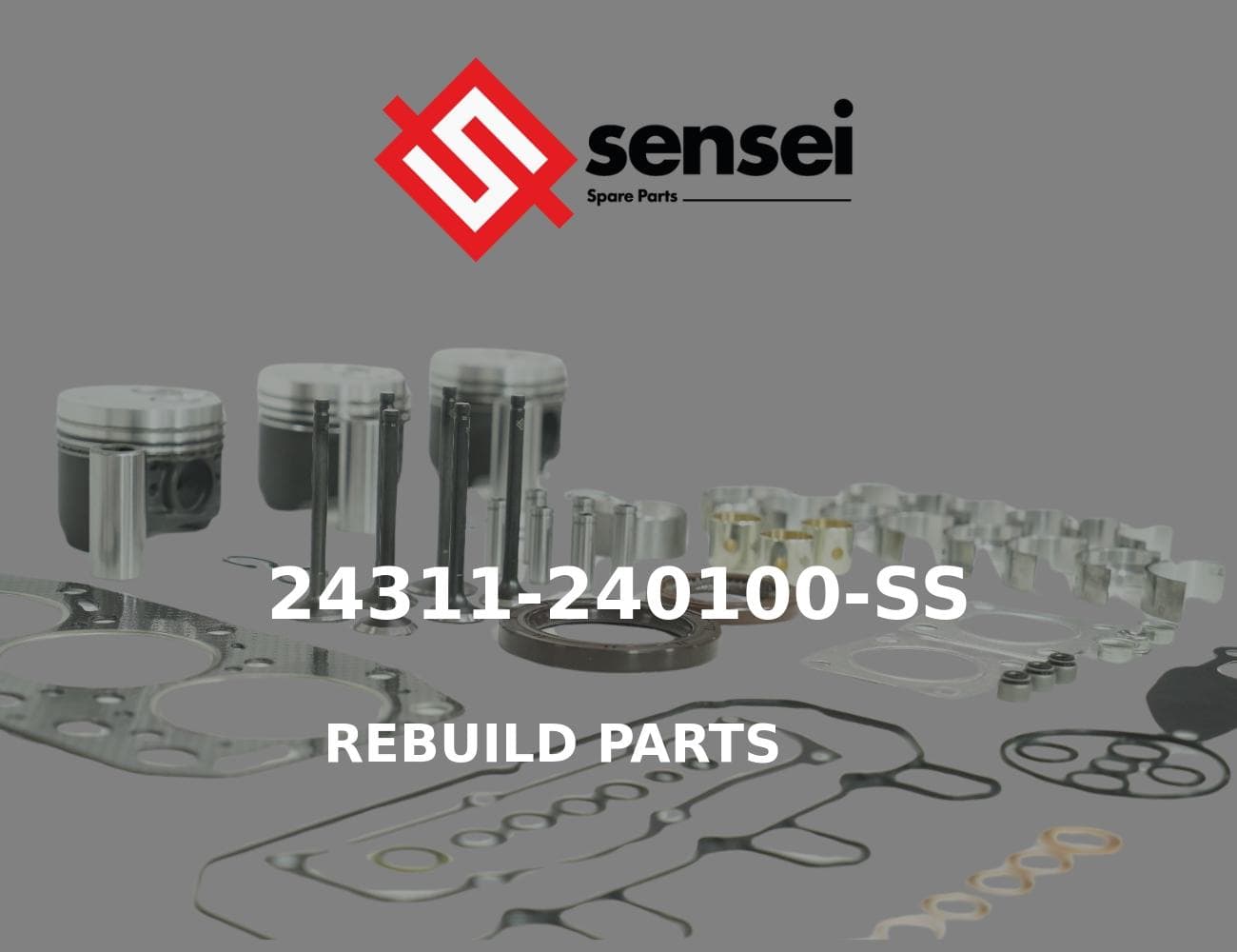 24311-240100-SS