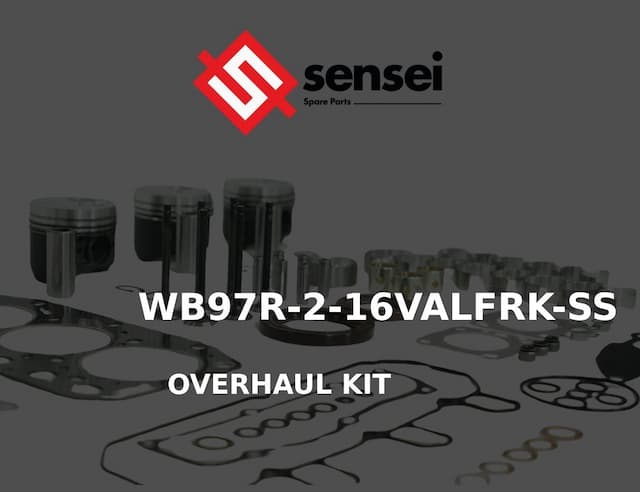 OVERHAUL KIT