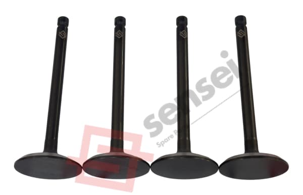 INTAKE VALVE