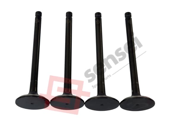 EXHAUST VALVE