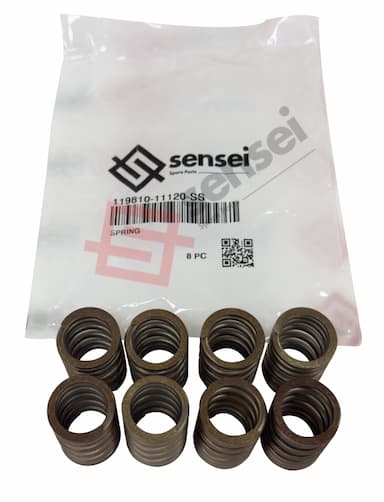 119810-11120-SS 1