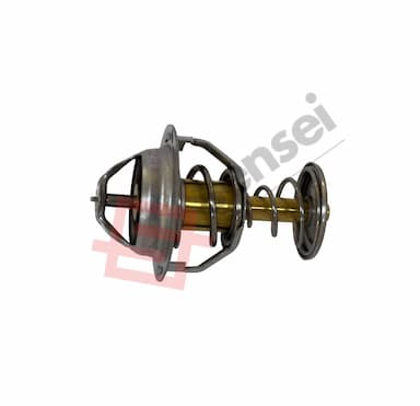 121750-49800-SS 1